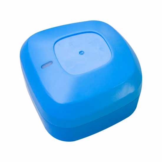Plastic Shell Products Injection Molding Processing Customized Processing of Plastic Mold Plastic Accessories